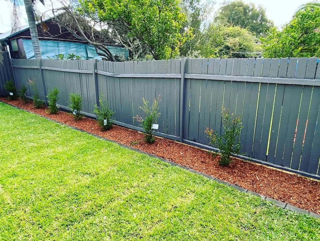 Timber Fencing Sydney