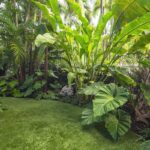 7 Tips For Protecting Your Landscaped Garden From Extreme Heat